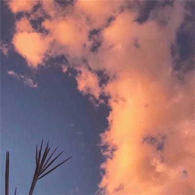 诺恩幻想手游下载